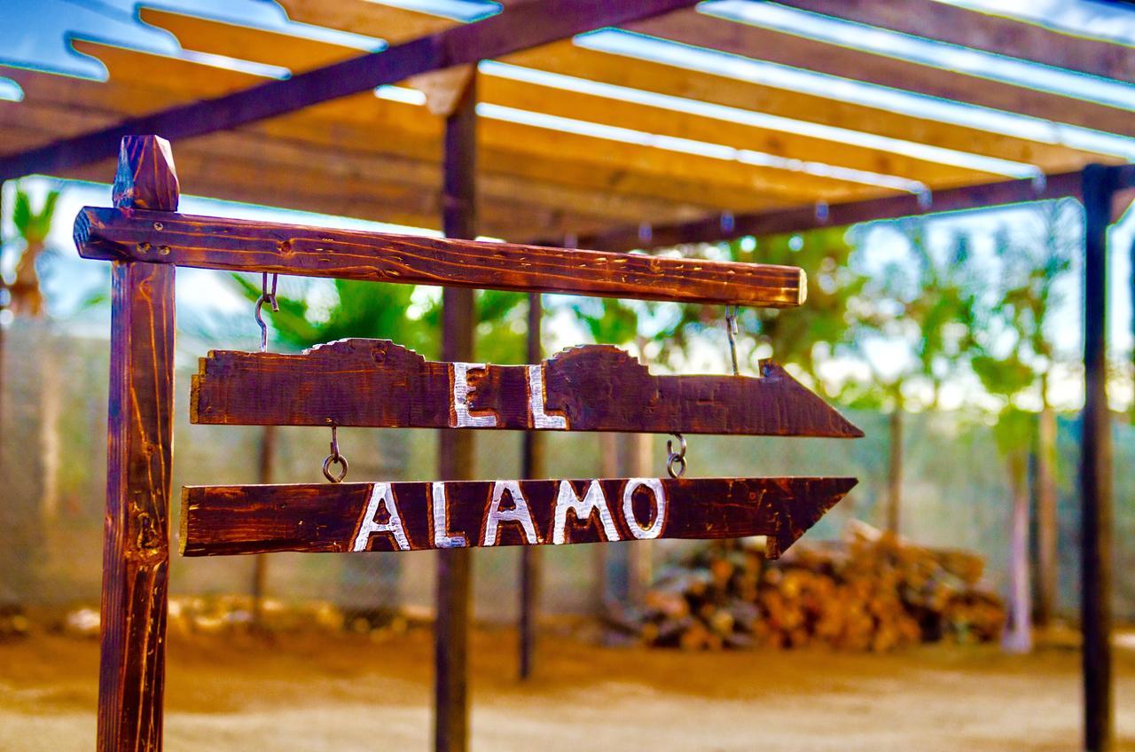 Отель El Alamo Валье-де-Гуадалупе Экстерьер фото